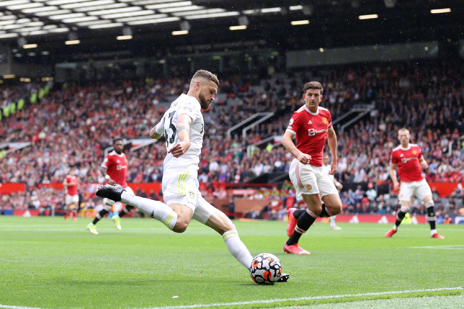 能成为日本 能成为日本